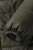 2aee55c5ac713c0da34110c8fff2b0b7
