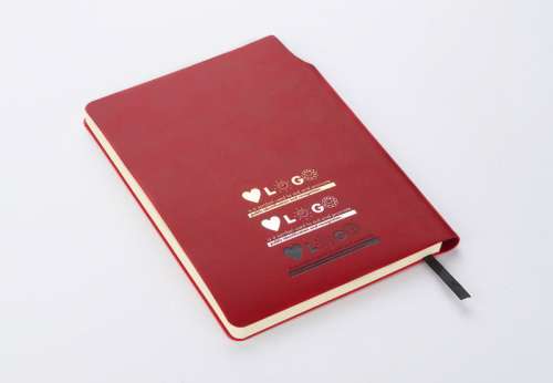 Przejdź do produktu Notes MOLI A5 17678-04