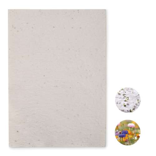 Przejdź do produktu Arkusz A4 z nasionami kwiatów ASIDI MO6914-06