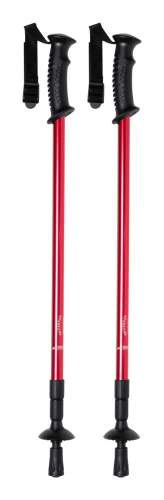 Przejdź do produktu Kijki Do Nordic Walking Pulpit Ap721481